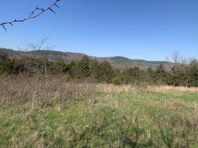 Tbd Scenic Valley, Shell Knob, MO 65747 - photo 2