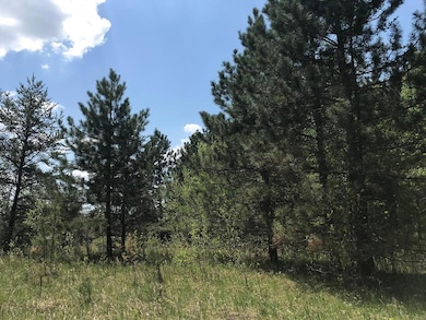 TBD State Hwy 34, Park Rapids, MN 56470 - photo 2