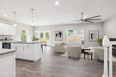 422 Mcguire Rd, New Market, TN 37820 - photo 2