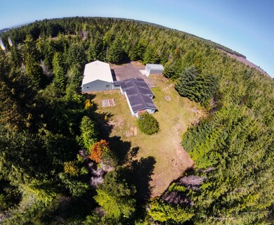90990 Joe Ney Ln, Coos Bay, OR 97420 - photo 3