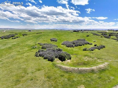 6410 Lake Gulch Rd, Castle Rock, CO 80104 - photo 5