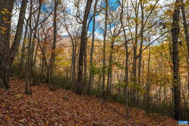 0 Tree House Place unit 43 658638, Nellysford, VA 22958 - photo 6