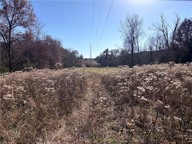 51500 River Rd, Milan, MO 63556 - photo 3