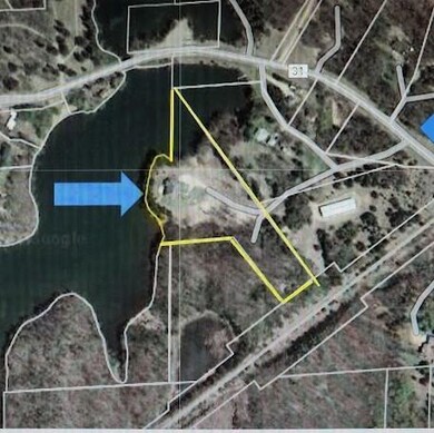 8493 187th Avenue NE outlined in yellow - access is over easement of neighbors.