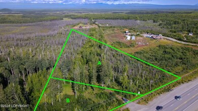 Two lots in Matanuska-Susitna, AK (8)