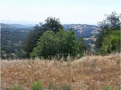 View from the top of the property.