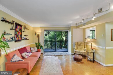Takoma Phoenix unit 302, Takoma Park, MD 20912 - photo 4