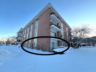 1025 S Fernandez Ave unit 1D, Arlington Heights, IL 60005 - photo 3