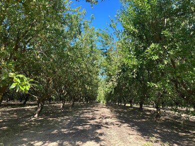 0 Nec Chestnut & Mountain View Ave unit 613340, Selma, CA 93662 - photo 2