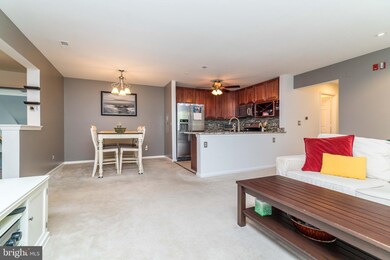 400 Plumbridge Ct unit 202, Lutherville Timonium, MD 21093 - photo 6