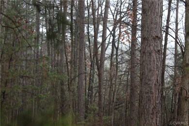 7.010 ACRES Genito Rd, Amelia Ct Hse, VA 23002 - photo 2