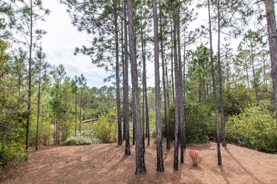 Backyard and Conservation