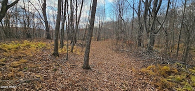 93 Delaware Dr, Damascus Township, PA 18415 - photo 5