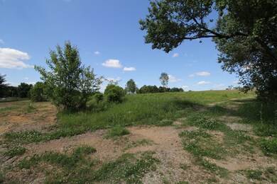 4773 McMinnville Hwy, Smithville, TN 37166 - photo 4