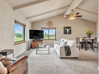 Living room lets in lots of light with vaulted ceilings and sky lights