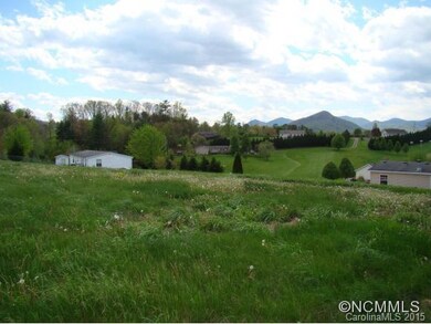 44 Frank Lawson Ln, Leicester, NC 28748 - photo 7