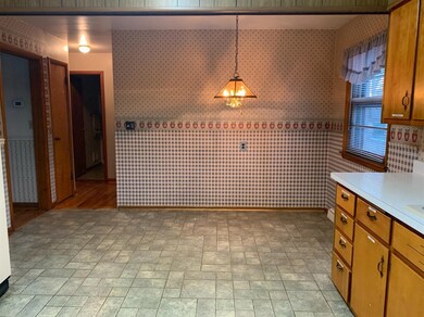 313 S Race St, New Carlisle, IN 46552 - photo 4