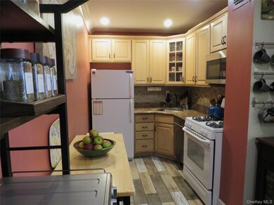 33 Barker Ave unit 5G, White Plains, NY 10601 - photo 4