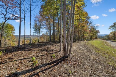 Tract 3 Sheep Ranch Rd, Robbins, TN 37852 - photo 5