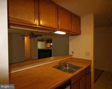 2061 Alice Ave unit 304, Oxon Hill, MD 20745 - photo 6