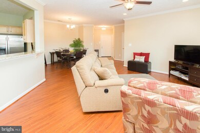 2404 Chestnut Terrace Ct unit 203, Odenton, MD 21113 - photo 5