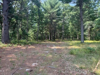 624 W 12th St, Baldwin, MI 49304 - photo 2