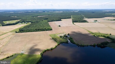 4425 Egypt Rd, Cambridge, MD 21613 - photo 7