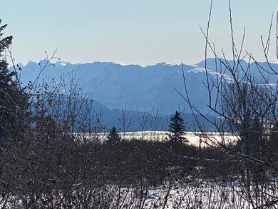 IMG_0247