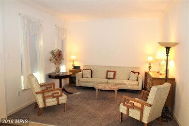 107 Egypt Farms Rd, Owings Mills, MD 21117 - photo 3