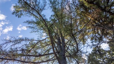 Tbd S 12 St & Goldsmith Ave, Mammoth Spring, AR 72554 - photo 5