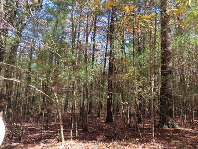 Lot 536 Timber Ridge Dr, Lackawaxen Township, PA 18428 - photo 7