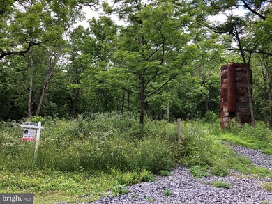 Lot 9 Carters Run Rd, Marshall, VA 20115 - photo 6