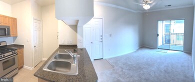 Bryson At Woodland Park unit 405, Herndon, VA 20171 - photo 3