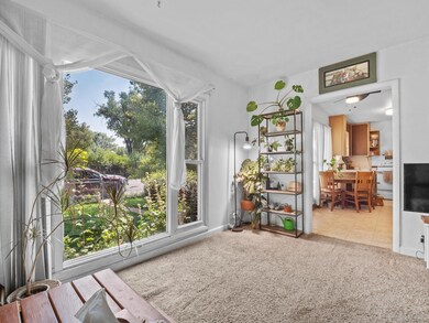 906 S 15th St, Laramie, WY 82070 - photo 3