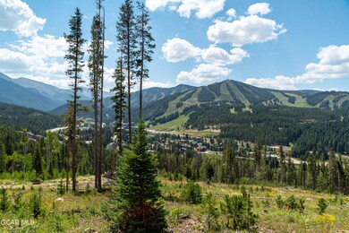 54 Cub Creek Way Lot 3, Winter Park, CO 80482 - photo 2