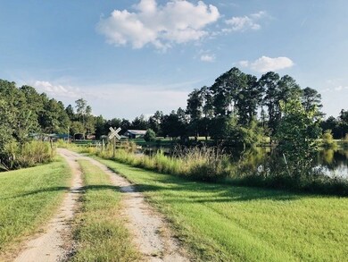 4997 Lyons Center Rd, Vidalia, GA 30474 - photo 3