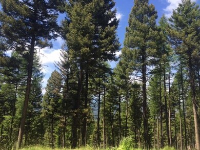 723 Wolverine Dr, Seeley Lake, MT 59868 - photo 5