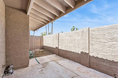 22-web-or-mls-1976-n-lemon-tree-ln-19