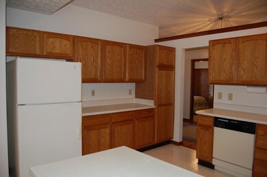 Kitchen View 2