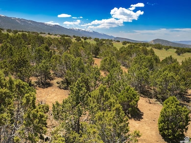 7000 E 110000 N, Spring City, UT 84662 - photo 2