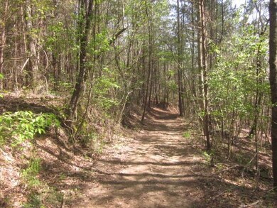 Road continues through the property. Watch for Deer & Turkeys.