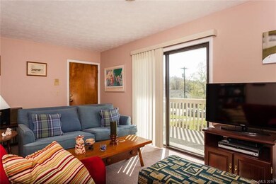 939 Brookside Camp Rd unit A1, Hendersonville, NC 28792 - photo 4