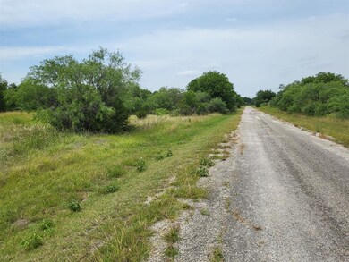 22170 Stanwood Dr, Whitney, TX 76692 - photo 6