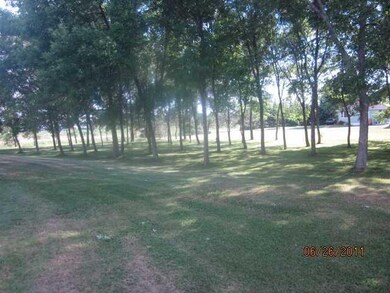 Yard/Garden WEST SIDE YARD TOWARD ROAD