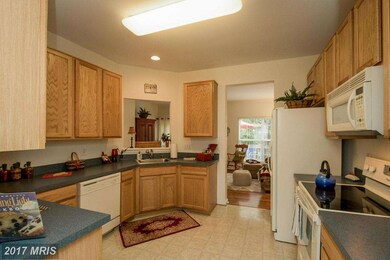 6187 Newton Ln, Bealeton, VA 22712 - photo 7