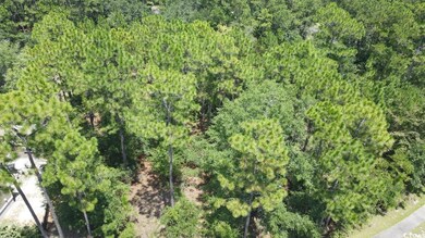 Drone / aerial view of a heavily wooded area