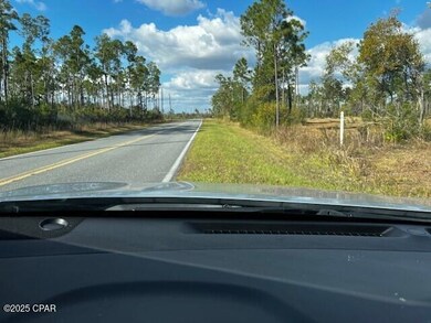 00 Jarrott Daniels Rd, Wewahitchka, FL 32465 - photo 3