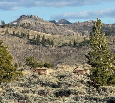 TBD Tbd, Big Timber, MT 59011 - photo 4