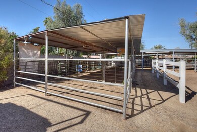 Shared Horse Area