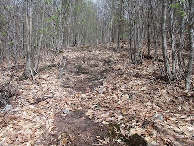 14 C Knights Hill Road Es Rd, Sweden, ME 04040 - photo 4